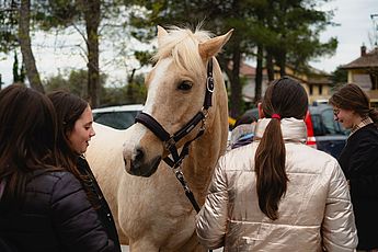 cavallo e bambine