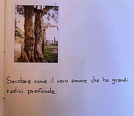 Pagina di libro decorata con collage