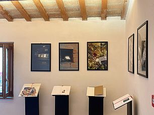 Foto dell'allestimento della mostra